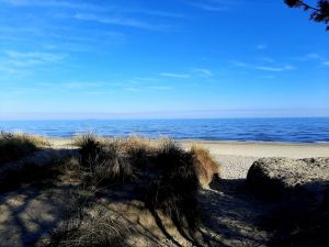 Bild 30: Das besondere Ferienhaus mit Sauna und Massage auf der Insel Usedom