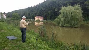 Bild 25: Gästehaus Andrea - Ferienwohnung Nr. 1 (Neu ausgestattet)