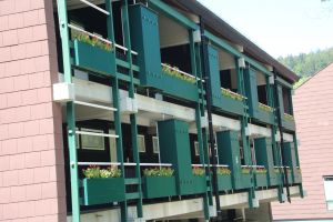 Bild 5: Ferienappartement "Beauty" im Nordschwarzwald - Hunde herzlich willkommen