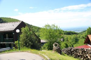 Bild 6: Ferienappartement "Beauty" im Nordschwarzwald - Hunde herzlich willkommen