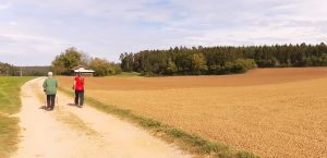 Bild 10: Ferienappartement "Beauty" im Nordschwarzwald - Hunde herzlich willkommen