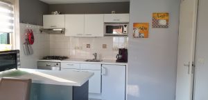 Bild 1: Ferienhaus Stern in Zeeland urgemütlich und Strandnah