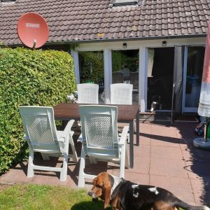 im Sommer - Bild 6: Ferienhuus Knüllenkieker Greetsiel