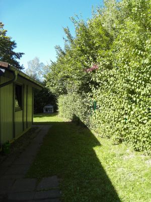 Blick in den Garten,dieser ist komplett 1,50 Meter hoch eingezäunt. - Bild 19: Ferienhaus Mau & Wau - Waldhessen