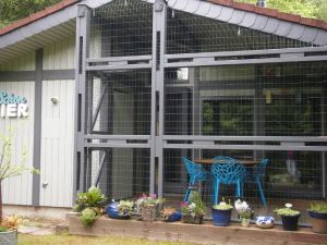 Bild 18: Ferienhaus Mau & Wau - Waldhessen