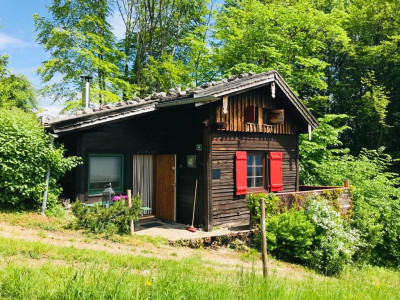 Bild: tolle Ferienhütte "Bobby" mit eingezäunten Garten in Tirol