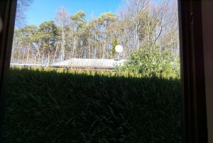 Genießen Sie den Ausblick auf die umliegenden Bäume aus dem Badezimmerfenster heraus. - Bild 21: Haus mit Zaun an beliebten Wanderrouten mit Blick in den Sternenhimmel
