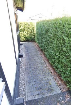 Das hundefreundliche Ferienhaus ist von einer dichten, immergrünen Hecke umgeben, damit Sie Ihren Urlaub ganz ungestört verbringen und den Alltag vergessen können – hier finden Sie und auch Ihr/e Vierbeiner Erholung! - Bild 26: Haus mit Zaun an beliebten Wanderrouten mit Blick in den Sternenhimmel