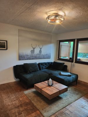 Zwei weitere innen liegende Fenster im Wohnzimmer bieten natürlichen Lichteinfall - Bild 11: Haus mit Zaun an beliebten Wanderrouten mit Blick in den Sternenhimmel