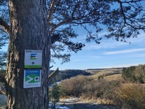 Der Wasserfallweg ist eine ganz besondere Adresse!
Dieser Wanderweg ist nach dem Dreimühlen-Wasserfall benannt. Sie besichtigen viele Flüsse, zahlreiche Bäche, namhafte Kapellen, spektakuläre Aussichten und geschichtsträchtige Burgruinen. Facettenreicher kann kaum ein Wanderweg sein. Wir wünschen ihnen schon jetzt eine wundervolle Reise. - Bild 29: Haus mit Zaun an beliebten Wanderrouten mit Blick in den Sternenhimmel
