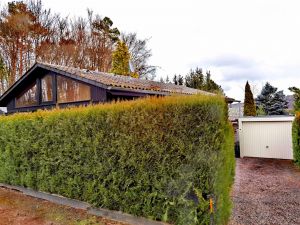 Erfreuen Sie sich abends an dem leuchtenden Sternenhimmel bei einem guten Glas Wein vom Essenstisch mit Blick durch die große Fensterfront aus! - Bild 1: Haus mit Zaun an beliebten Wanderrouten mit Blick in den Sternenhimmel