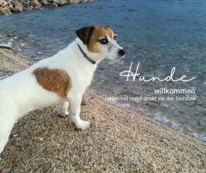 Bild 4: Camp Buqez - Beachvilla Stella No. 30 - mit Whirlpool