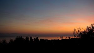 Bild 20: Ferienwohnung Müller in Immenstaad - mit wunderschönem See- und Alpenblick