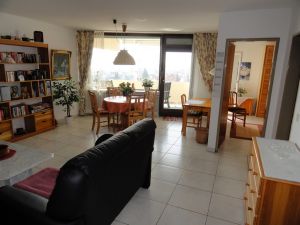 Bild 4: Ferienwohnung Müller in Immenstaad - mit wunderschönem See- und Alpenblick