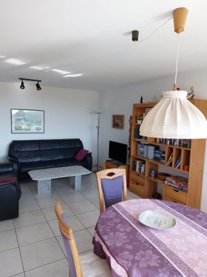 Bild 7: Ferienwohnung Müller in Immenstaad - mit wunderschönem See- und Alpenblick