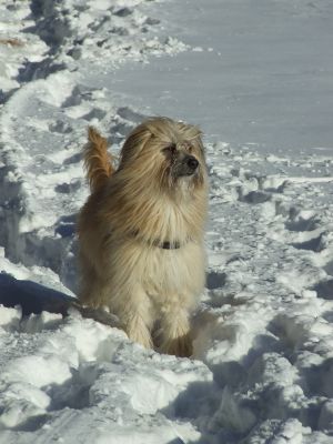 Bild 18: Komfortable helle Ferienwohnung für bis zu drei Personen mit Panoramablick