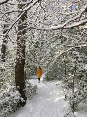 Der Eisregen verwandelte die Natur in eine Traumlandschaft. - Bild 19: Komfortable helle Ferienwohnung für bis zu drei Personen mit Panoramablick