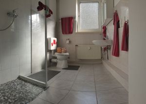 Bad, gefliest:
ebenerdige Dusche, Toilette, Badhängeschrank mit Spiegel, Waschbecken, Handtuch- und Duschtuchhalter - Bild 3: Fewo Rammelsberger Steigerhaus im Waldhaus