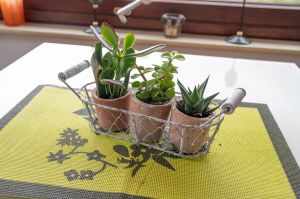 Bild 11: Ferienhaus NaturPur 130qm ruhige Waldlage im Weserbergland