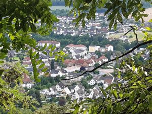 Bild 35: Ferienhaus NaturPur 130qm ruhige Waldlage im Weserbergland