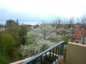 im Frühling - Bild 4: Ferienwohnung Grabsch in Immenstaad - mit wunderschönem See- und Alpenblick