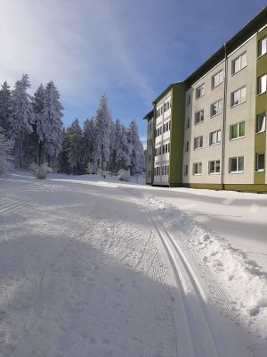 Bild 10: Ferienwohnung Waldblick im Wintersportort Oberhof