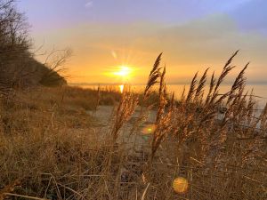 Machen Sie einen Spaziergang und erleben Sie einen atemberaubenden Sonnenuntergang über der weißen Wiek. Wenn die Sonne langsam untergeht, taucht sie den Himmel und das Meer in ein magisches Licht und sorgt für eine unvergessliche Atmosphäre. - Bild 4: Ferienwohnung im Gutshaus, Entschleunigung pur für erholsame Tage