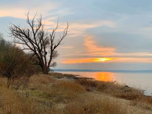 Unser Geschichtenbaum ist ein besonderes Highlight und ein Ort der Ruhe und Inspiration. Er spendet Kraft und Energie für alle Gäste, die sich Zeit für ihn nehmen. Lassen Sie sich von ihm inspirieren und tanken Sie neue Energie für Ihren Alltag. - Bild 34: Ferienwohnung im Gutshaus, Entschleunigung pur für erholsame Tage