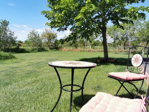 Bild 15: Dom Wizoch - Ferienwohnung Stettiner Haff / Ueckermünder Heide