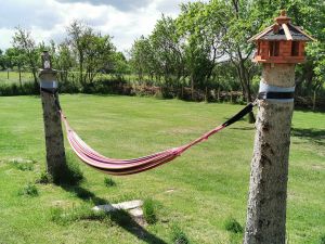 Bild 16: Dom Wizoch - Ferienwohnung Stettiner Haff / Ueckermünder Heide