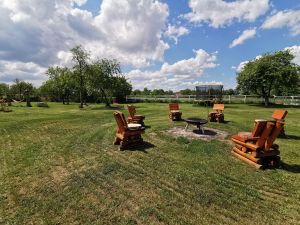 Bild 17: Dom Wizoch - Ferienwohnung Stettiner Haff / Ueckermünder Heide