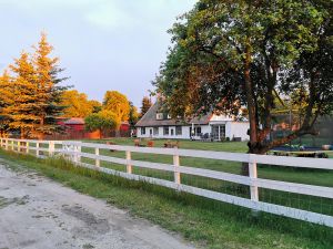Bild 18: Dom Wizoch - Ferienwohnung Stettiner Haff / Ueckermünder Heide