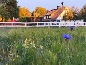 Bild 25: Dom Wizoch - Ferienwohnung Stettiner Haff / Ueckermünder Heide