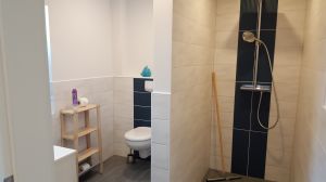 Große Dusche ebenerdig 100 x 140 cm mit Regendusche und Handbrause - Bild 5: Ferienwohnung Föhr in der schönen Schleiregion