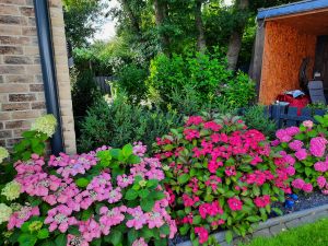 Bild 13: Ferienwohnung Sylt in der schönen Schleiregion