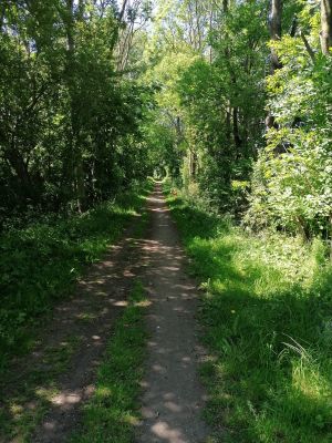 Bild 15: Ferienwohnung Sylt in der schönen Schleiregion