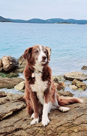 Bild 12: Resort "10gardens" - Beachvilla Stella #2 - 1. Meerreihe mit Whirlpool