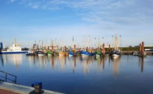 Fischerhafen - Bild 25: Norden/ Norddeich Ferienwohnung Stella für 1-3 Personen, Balkon, + Hund