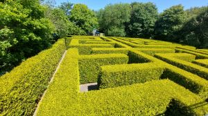 Bild 26: Norden/ Norddeich Ferienwohnung Mery für 2-4 Personen, Balkon, + Hund