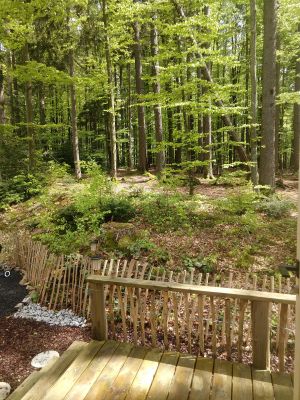 kleine Terrasse fast im Nationalpark - Bild 6: Haus Little Lilly