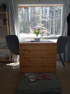 Auch drinnen den Wald genießen - Bild 12: Haus Little Lilly