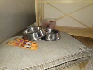 Eure Vierbeiner sind bei uns herzlich Willkommen und bekommen ein Begrüßungsgeschenk - Bild 18: Haus Little Lilly