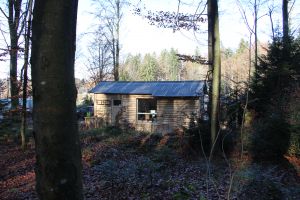 Blick vom Wald auf unser Haus sowie campingplatz - Bild 3: Haus Little Lilly