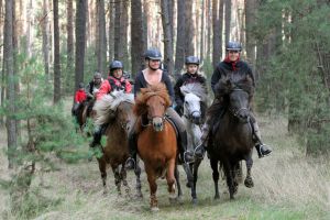 Auf einem unserer Ausritte im Gelände - Bild 8: Urlaub auf dem Reiterhof in Brandenburg