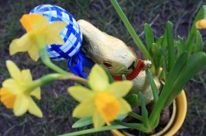 Bild 3: Urlaub auf dem Reiterhof in Brandenburg