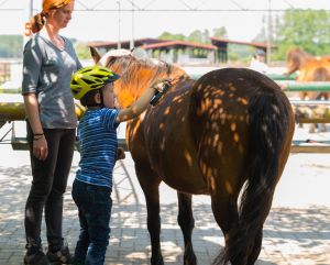 Hier kommen auch die Kleinen auf ihre Kosten - Bild 6: Urlaub auf dem Reiterhof in Brandenburg