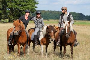 Familien sind bei uns herzlich willkommen. - Bild 5: Urlaub auf dem Reiterhof in Brandenburg
