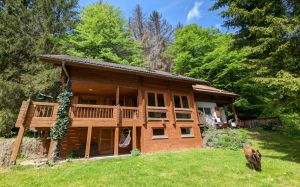 Bild 1: D1142a Ferienhaus Fehrengrund im Thüringer Wald