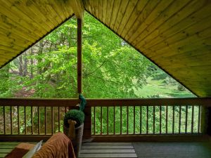 Bild 16: D1142a Ferienhaus Fehrengrund im Thüringer Wald