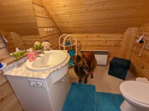 eigenes Badezimmer des Schlafzimmer 1 - Bild 12: D1142a Ferienhaus Fehrengrund im Thüringer Wald